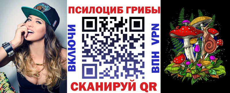 Галлюциногенные грибы Cubensis  где купить   Благодарный 